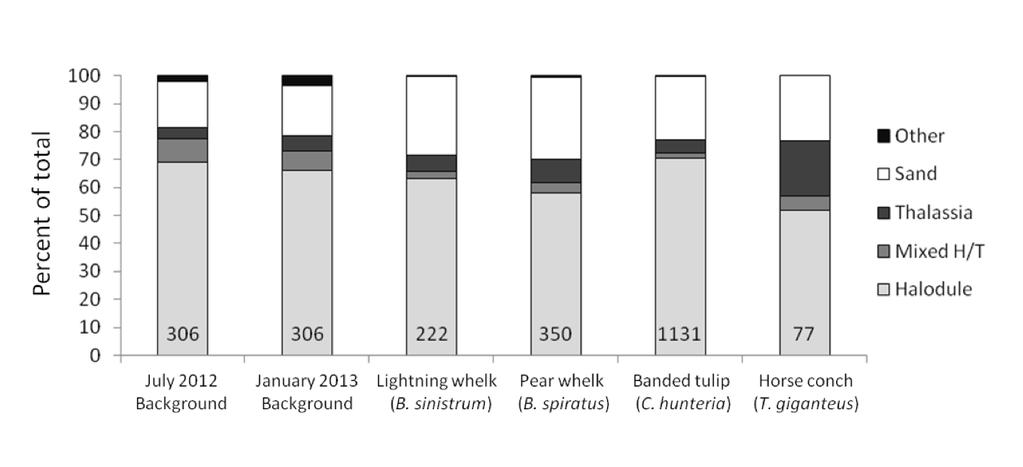 Fig. S5. Percentage of living tethered snails that were found buried during the field experiment. Includes all observations during all checks. Fig. S6.