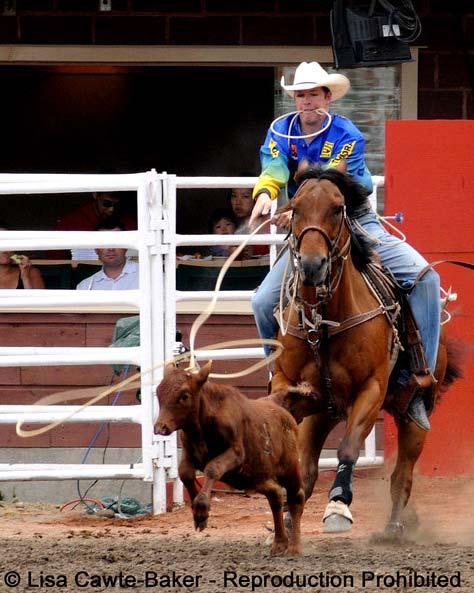 event is for the rider to catch the calf by throwing a loop of rope from a lariat around its neck, dismount from the horse, run to the calf, and restrain it by tying three legs together, in as short