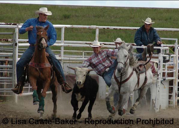 Steer Wrestling Description Also known as "Bulldogging," this is a rodeo event where the rider jumps off his horse onto a steer and 'wrestles' it to the ground by grabbing it by the horns.