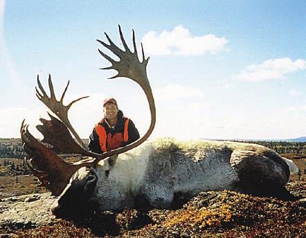 Woodland caribou are eligible for entry from Nova Scotia, Newfoundland, and New Brunswick. Woodland caribou occur sparingly all the way across Canada to southern British Columbia.
