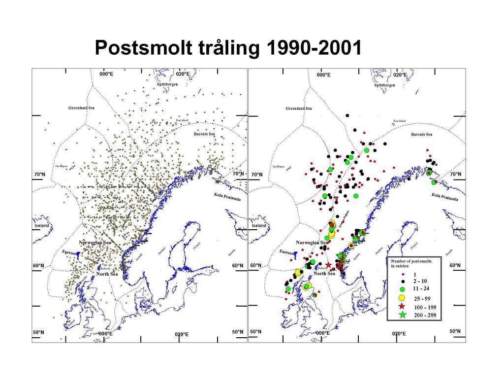 Postsmolt trawling 1990-2001 (IMR) Adult