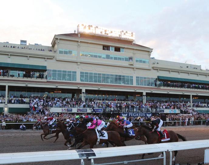 FLORIDA DERBY DAY STAKES SCHEDULE Date Race Grade Purse Restrictions Surface Distance Saturday, March 3 Cutler Bay $50,000 3YO Turf Mile Saturday, March 3 Sanibel Island $50,000 3YO F Turf Mile