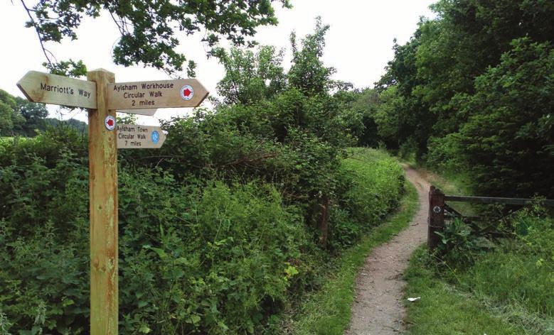 This mammoth seven mile circular walk takes in not only Marriott s Way, but also a section of Weavers Way, another long distance linear route managed by Norfolk trails.
