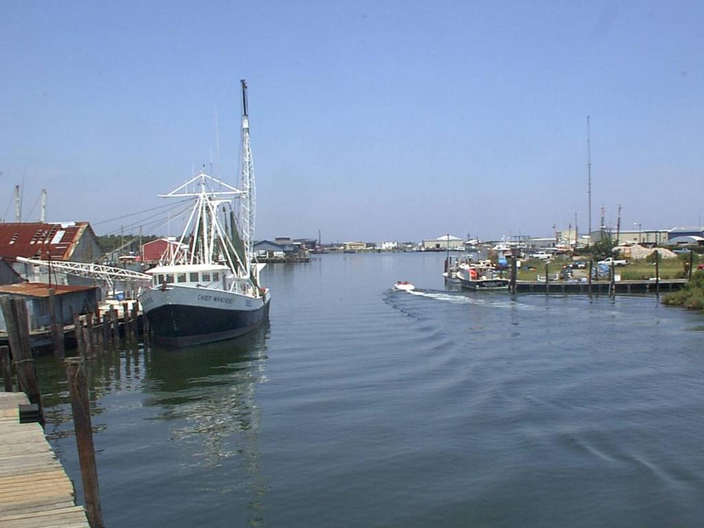 Potential Fishing Communities in the Carolinas, Georgia and Florida: An effort in baseline