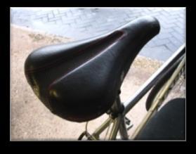 wobble them and check they are held firmly Saddle Check it is held secure