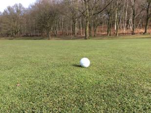 Photo Observations and Comments Figure 1: The greens have come through the winter in good condition and are supporting a strong body of