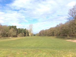 Figure 4: I was delighted to see the positive results of tree removal to the front-left and right of the 8 th.