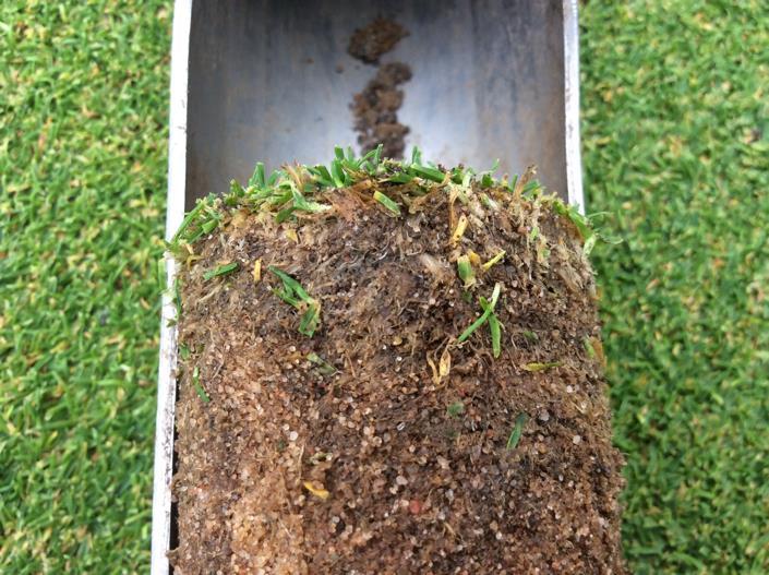 agronomic condition of the soil profile.