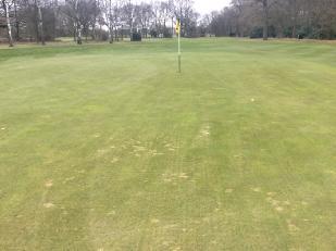 Photo Observations and Comments (continued) Figure 7: The back of the 15 th green also suffered considerable scarring due to a lack of airflow and the surround at the back is notoriously wet and