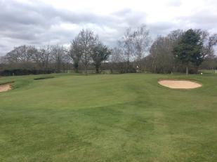 Figure 13: The 4 th green extension is blending well and turf offers a very similar texture the rest of the green.