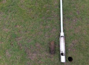 Figure 15: Green approaches were generally in good shape and we agreed to hold off hollow tining until autumn.