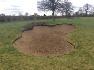 Figure 22: The trial with heather turf on the 12 th fairway bunker has taken well.