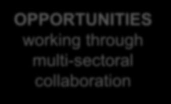through multi-sectoral collaboration