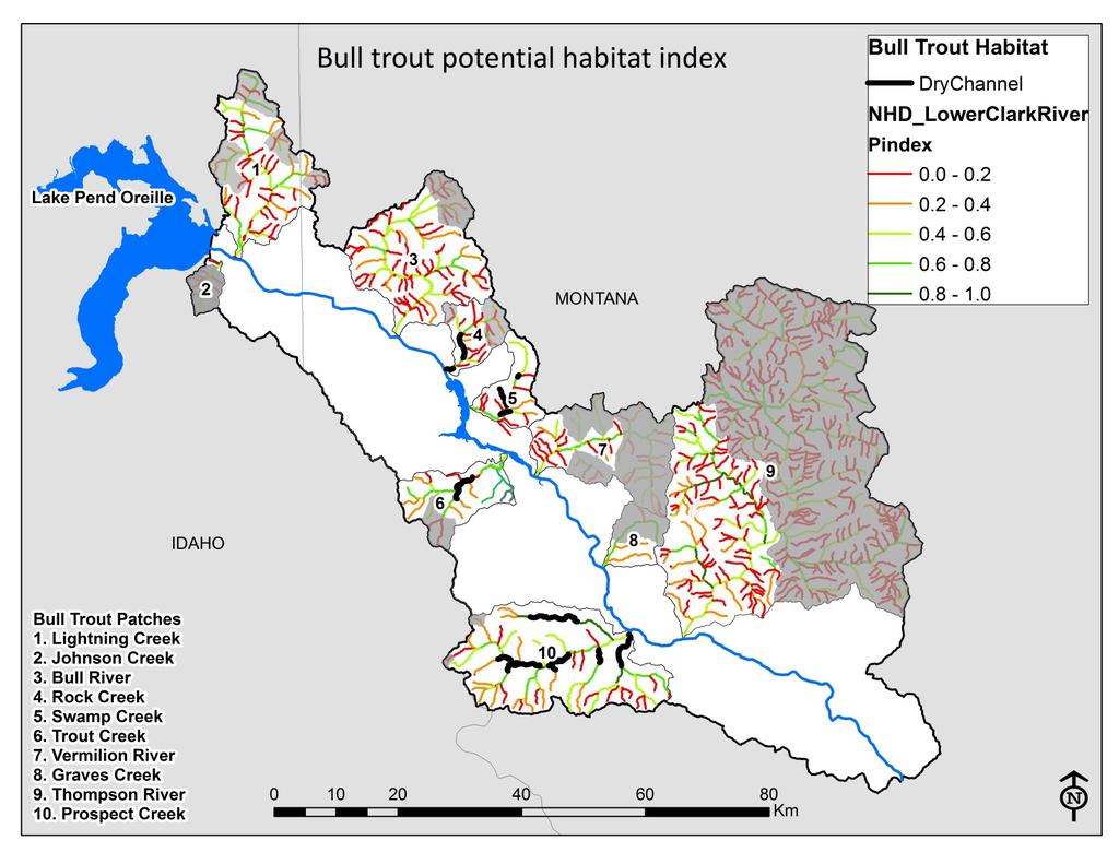Figure 6. Illustration of the potential habitat for bull trout rescaled to a single index value ranging from 0 (low potential) to 1 (high potential) for each segment.