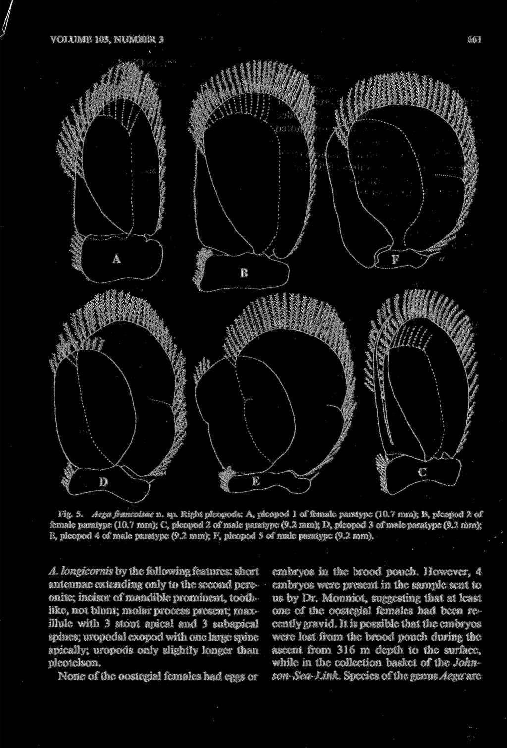 VOLUME 103, NUMBER 3 661 Fig. 5. Aega francoisae n. sp. Right pleopods: A, pleopod 1 of female paratype (10.7 mm); B, pleopod 2 of female paratype (10.7 mm); C, pleopod 2 of male paratype (9.