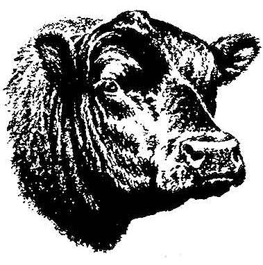 Shelton Angus - Dogwood Farm Annual Fall Bull Sale Saturday, November 22, 2014 12 noon G & E Farms Sale Facility Gretna, Virginia N Selling 57 Performance Tested Fall Yearling Angus