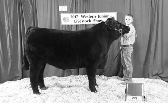 Bryce showed the 4th Overall Steer at the 2017