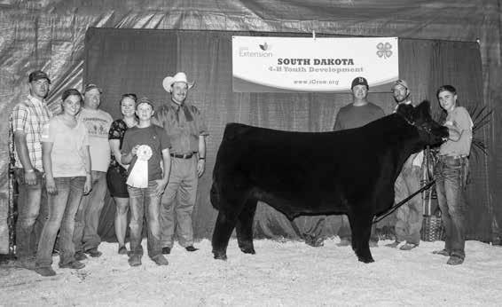 Champion Live Futurity Steer at the 2017 Western