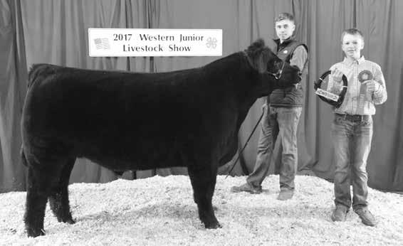 his Reserve Champion Overall Open Market Steer