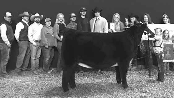 Welcome, to our annual bull sale. This year s offering has predictable, proven and uniform genetics. Simmental genetics have proven to be some of the most sought after genetics in the industry.