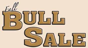 FRIDAY, DECEMBER 11, 2015 1 pm at Southern Alberta Livestock Exchange Fort Macleod, Alberta Offering 60 Long Yearling Purebred Black Angus Bulls Commercial Females 50 Very Fancy 66 Ranch 2nd Calvers