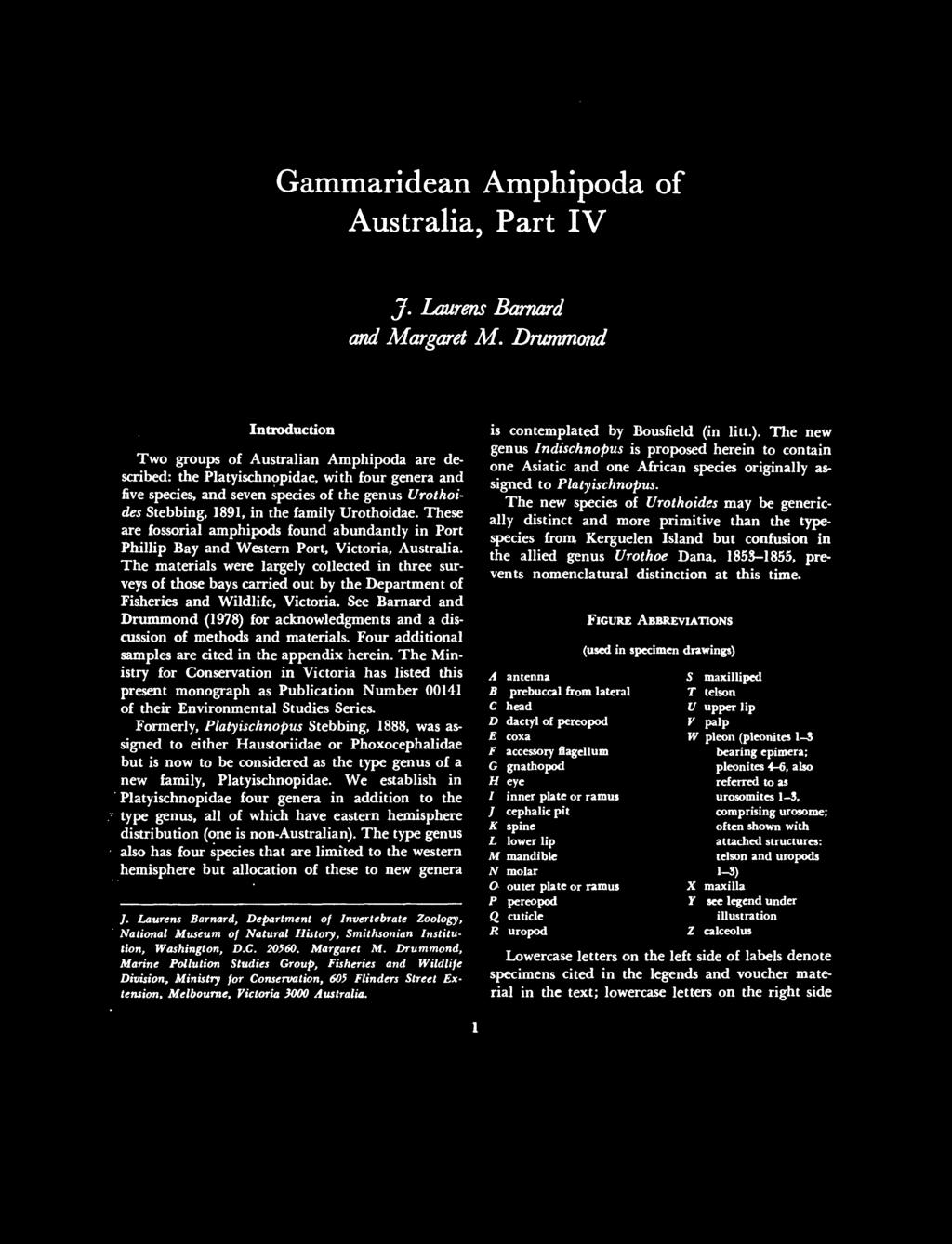 Gammaridean Amphipoda of Australia, Part IV J. Lamms Barnard and Margaret M.