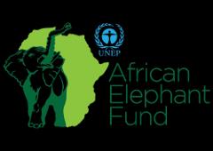 Proposal to the African Elephant Fund 1.1 Country: Gabon 1.2 Project Title: Developing a Quadcopter and Infrared Camera System to Monitor and Track the African Forest Elephant (Loxodonta Cyclotis) 1.