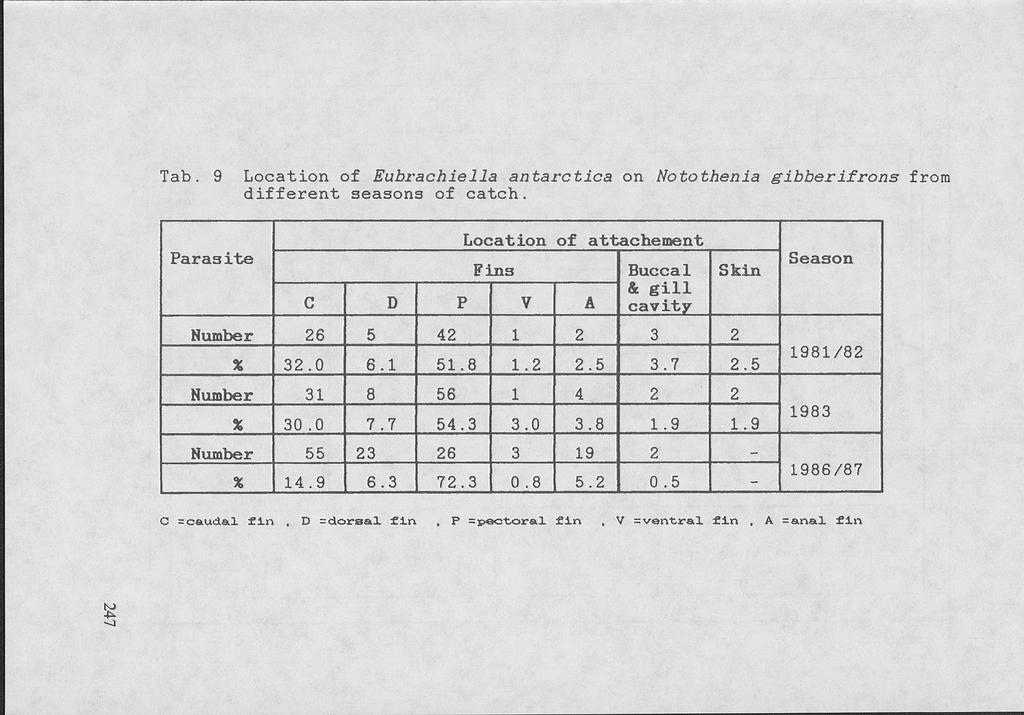 Tab. 9 Location of Eubrachiella antarctica on Notothenia gibber ifrons from different seasons of catch. Location of attachement Parasite Fins D С Number % Number % Number % С =caudal f i n 26 32.