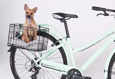 for holding shopping items, groceries, small pets and other personal items while riding