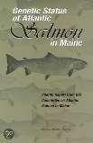 USFWS & NOAA STATED THAT: GENETICS DEBATE REMNANT SALMON POPULATIONS IN THE GOM PERSISTED WERE AFFECTED BY HATCHERY STOCKING, BUT HATCHERY FISH HAD NOT SUBSTANTIALLY INTROGRESSED WITH THE REMNANT