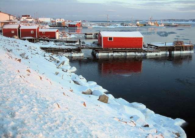 MY HISTORY WITH ATLANTIC SALMON FOGO ISLAND, NEWFOUNDLAND WITH THE QUEBEC LABRADOR FOUNDATION: QLF EXISTS TO SUPPORT THE RURAL COMMUNITIES AND ENVIRONMENT OF