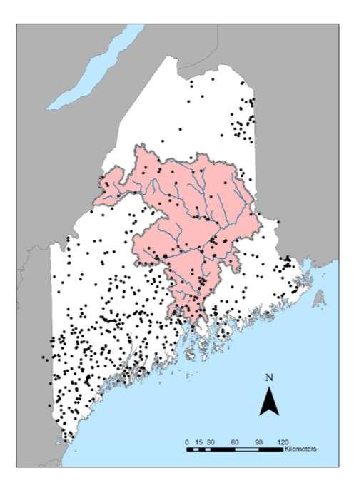 Dams in Maine Plus, 1000s of road crossings Historic fish