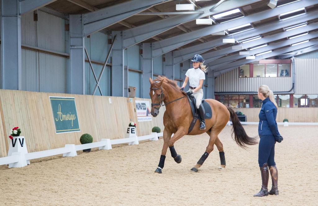 WHY SUMMERHOUSE PRESTIGE ACADEMY* Summerhouse Prestige Academy is dedicated to training and developing talented young riders and grooms who have the potential to succeed to a high level in the future.