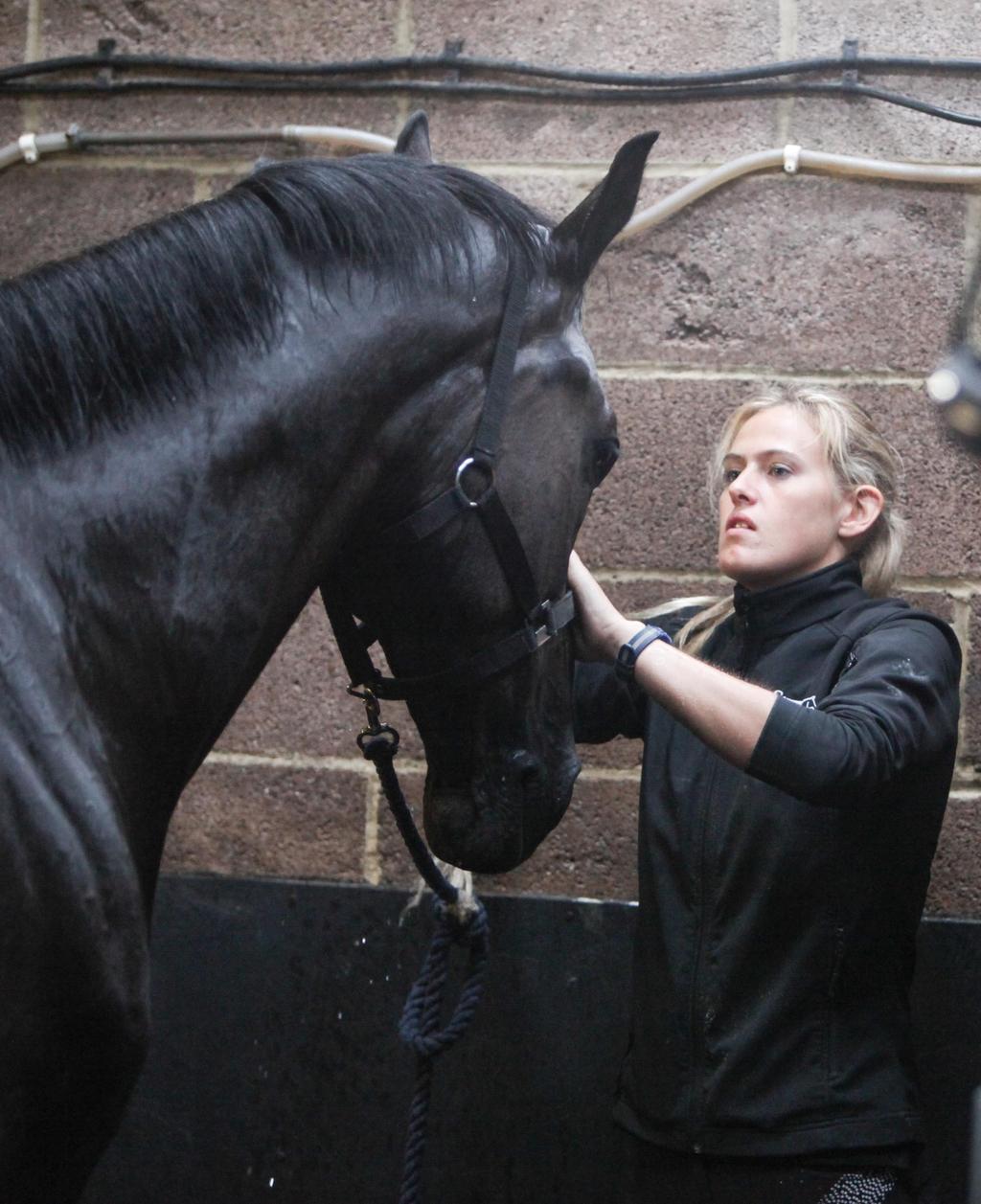 COURSE DESCRIPTION AND REQUIREMENTS The Aim of this course is to give you all round, work based experience and knowledge to gain a career in the Equine Industry.
