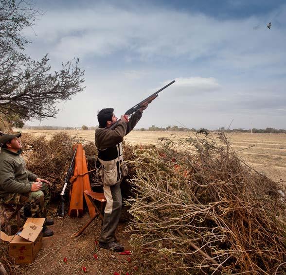 In the field you will be assigned a field assistant, who will provide you with shot shells and refreshments and direct you to your shooting stand.
