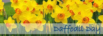 Daffodil Day Next Friday 28 August please wear yellow and bring along a gold coin donation to support the Cancer Society. This is one charity we all support as a community. Thank you for your support!