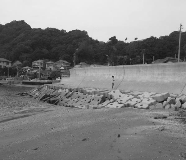Because the crown height of the seawall is as much as 5 m above MSL, the shoreline view of the sandy beach was suddenly truncated by the seawall, and many concrete blocks to protect