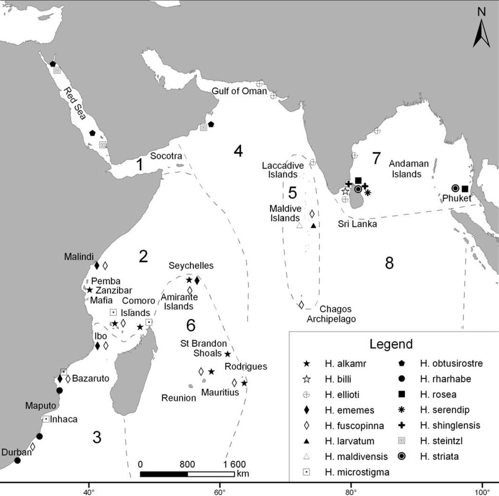 54 WOUTER HOLLEMAN Fig. 1. Known distributions of Helcogramma species in the Indian Ocean.