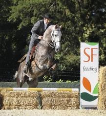 CAN ANY TYPE OF HORSE COMPETE IN WE? YES! The sport is heavily influenced by the Iberian breeds, and is based upon the traditional ways of using horses in those countries.