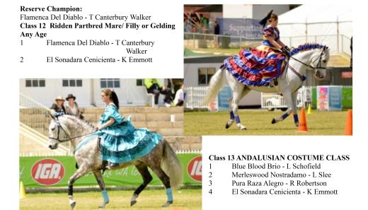 AHAA WA STATE RIDDEN CHAMPIONSHIP 0 RIDDEN BREED CLASSES: RING ONE Judge Gale Strain SPANISH ANDALUSIAN. Ridden Spanish Gelding 4 yrs & under.