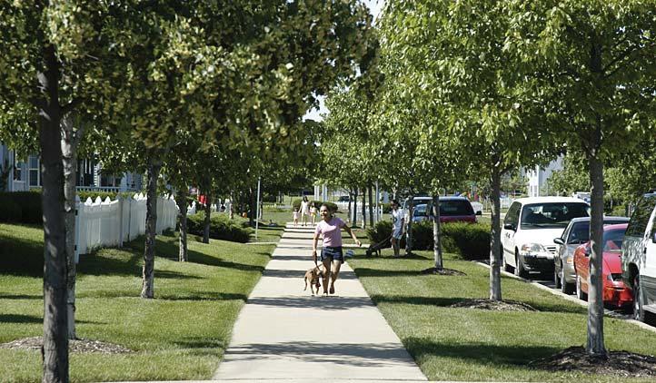 NEIGHBORHOOD STREETS Typical Design Elements Lanes and Medians Because of the low volumes and low speeds, one 14-foot wide (minimum) travel lane can accommodate two-way traffic and bicyclists.
