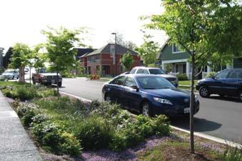 PASSAIC COUNTY COMPLETE STREETS GUIDELINES Street Trees Grouped
