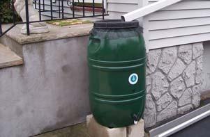 Water collected in rain barrels can prevent water from discharging directly from a roof onto an impervious surface while providing an alternative to using drinking water for gardening, washing cars