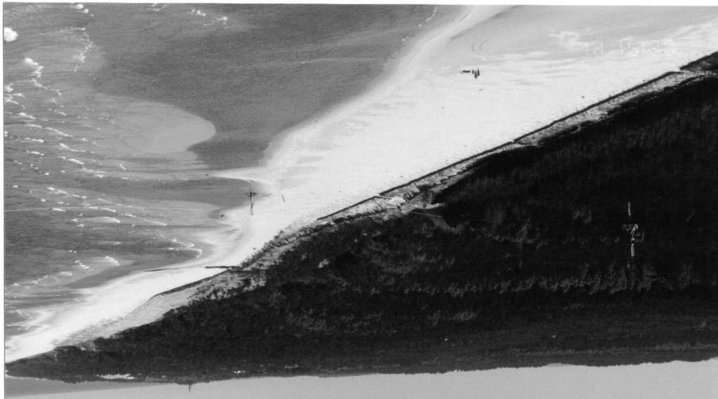 8 R. Ostrowski, Z. Pruszak, G. Różyński, M. Szmytkiewicz, P. V. Ninh, D. N. Quynh, N. T. V. Lien Fig. 3. Lubiatowo site: a) top view, b) ice phenomena on the shore coastal morphodynamics.
