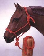 95 155203 average horse navy (800-1100 lbs.) $15.95 155204 average horse black (800-1100 lbs.) $15.95 155205 average horse hunter (800-1100 lbs.) $15.95 155206 average horse wine (800-1100 lbs.) $15.95 155042 average horse purple (800-1100 lbs.