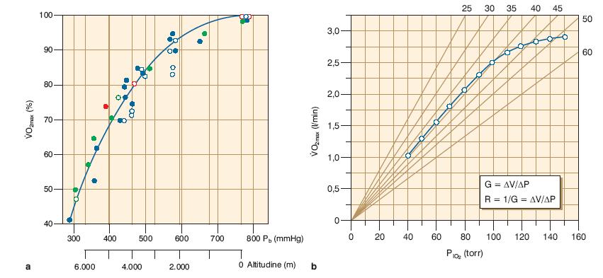 Maximal oxygen uptake and altitude VO VO 2max (2000
