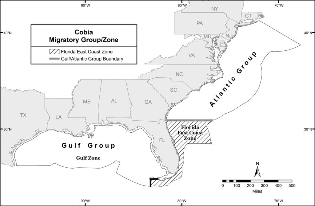 As with king mackerel, Amendment 20B established Northern and Southern Zones for Spanish mackerel, each with their own Spanish mackerel commercial quotas.