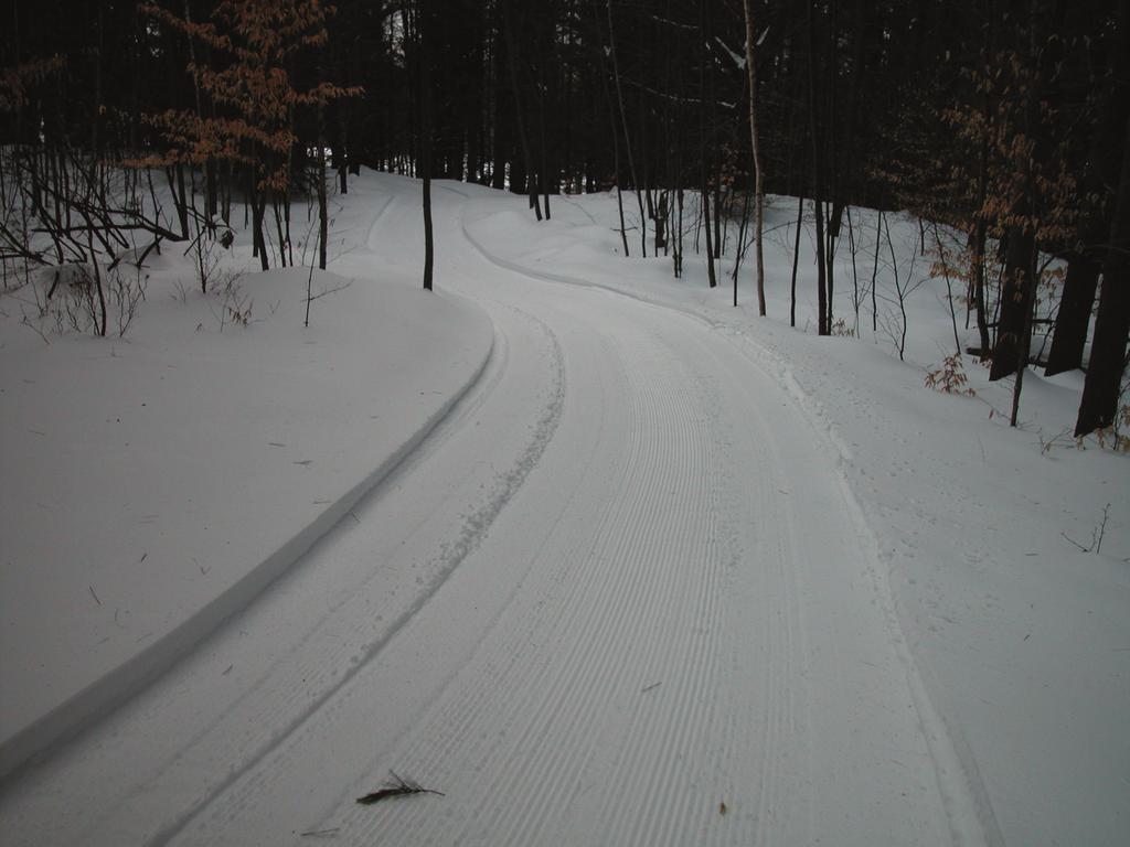 New England Ski Orienteering Championships Vermont SkiO Weekend January