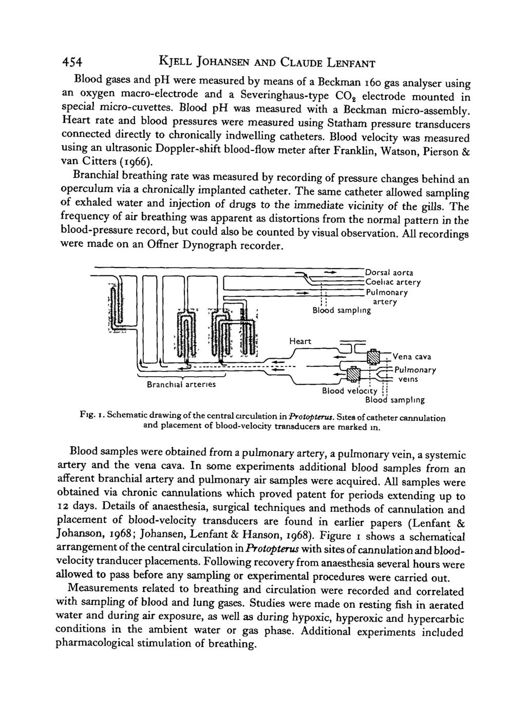 454 KjELL JOHANSEN AND CLAUDE LENFANT Blood gases and ph were measured by means of a Beckman 60 gas analyser usng an oxygen macro-electrode and a Severnghaus-type CO 2 electrode mounted n specal