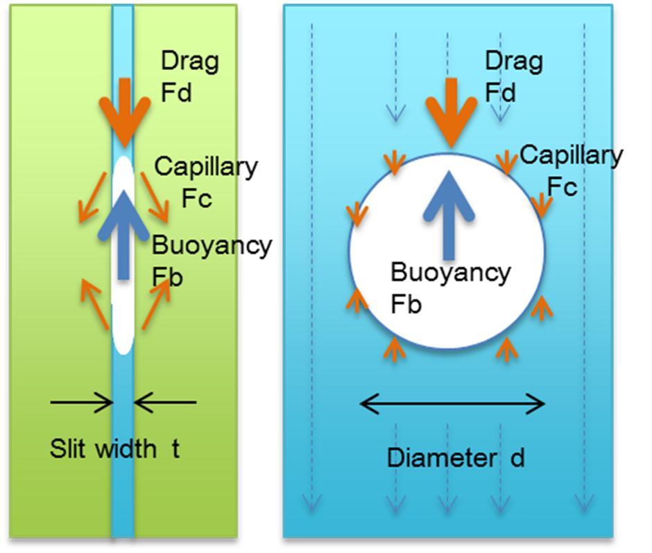 buoyant force is greater than the combined effects of capillary pressure and drag, gas bubbles move upward. When the buoyant force is less, gas bubbles are retained or move downward.